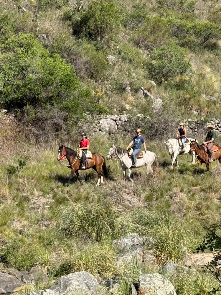 Cabalgata grupal por las sierras de Córdoba