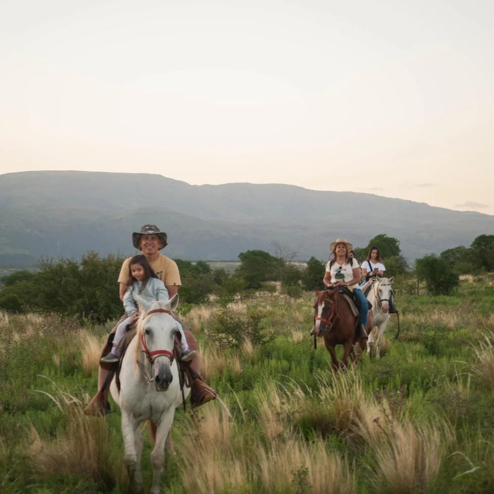 Caballos en el campo de la estancia